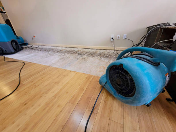 Professional Water Damage Repair technician working in Hawaii, HI